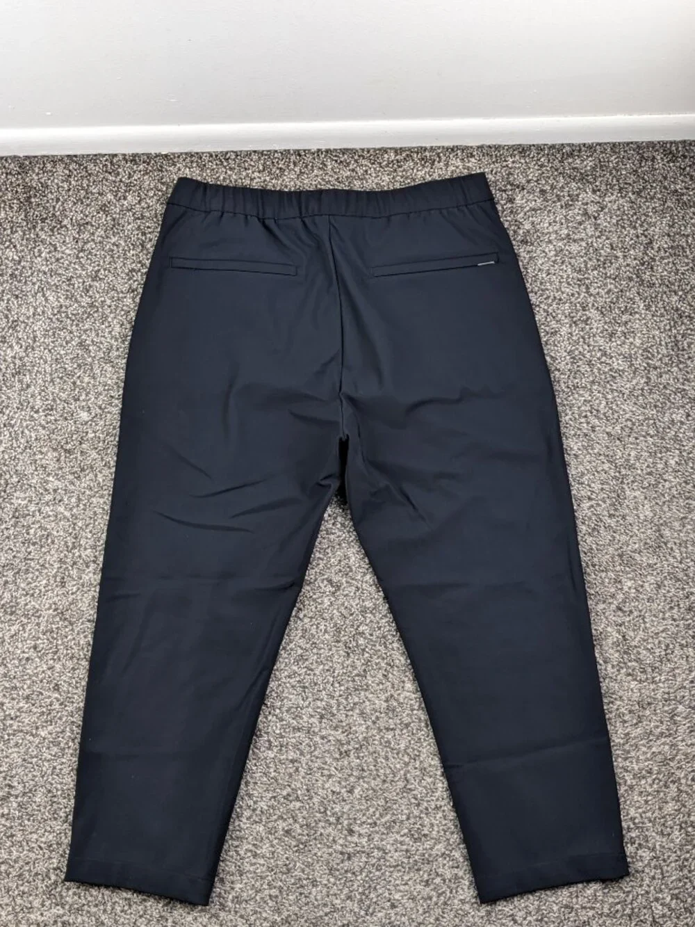 Theory jogger pants